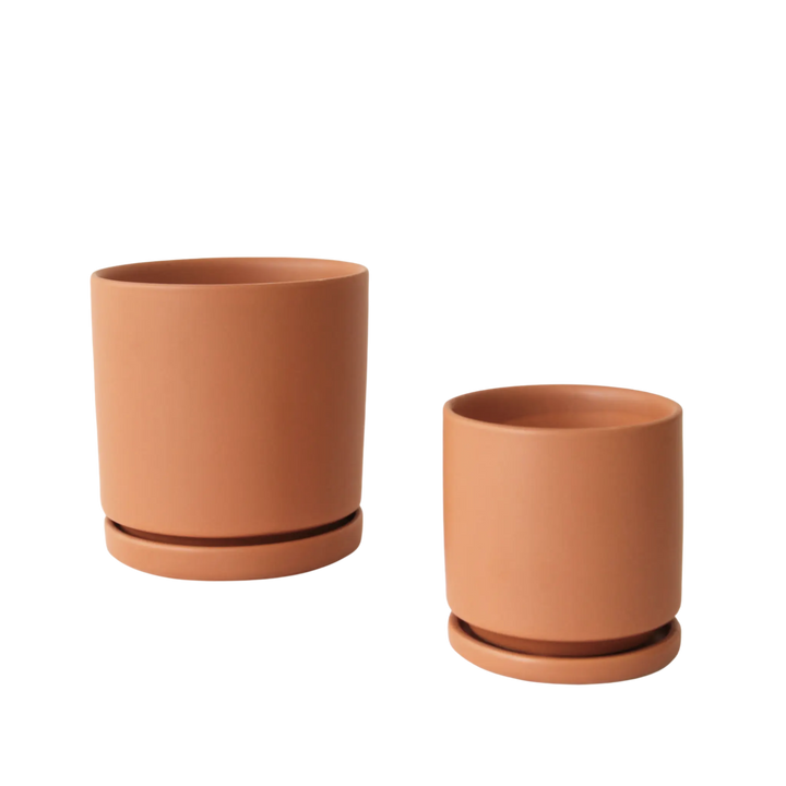 4.5" Gemstone Cylinder Pot with Water Tray