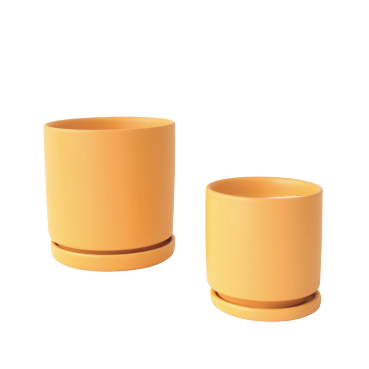 4.5" Gemstone Cylinder Pot with Water Tray