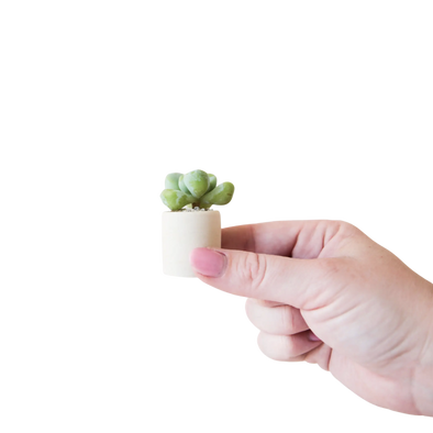 Tiny Pot