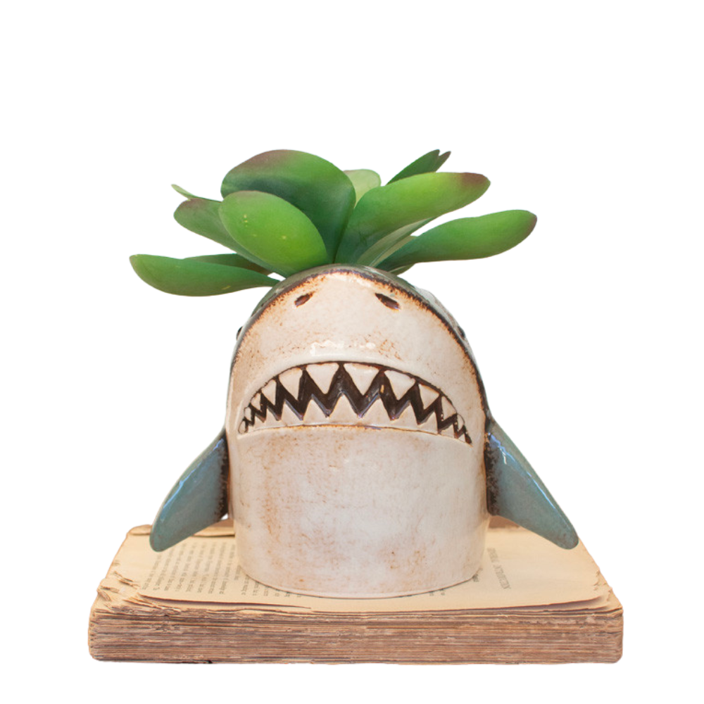 Ceramic Shark Planter