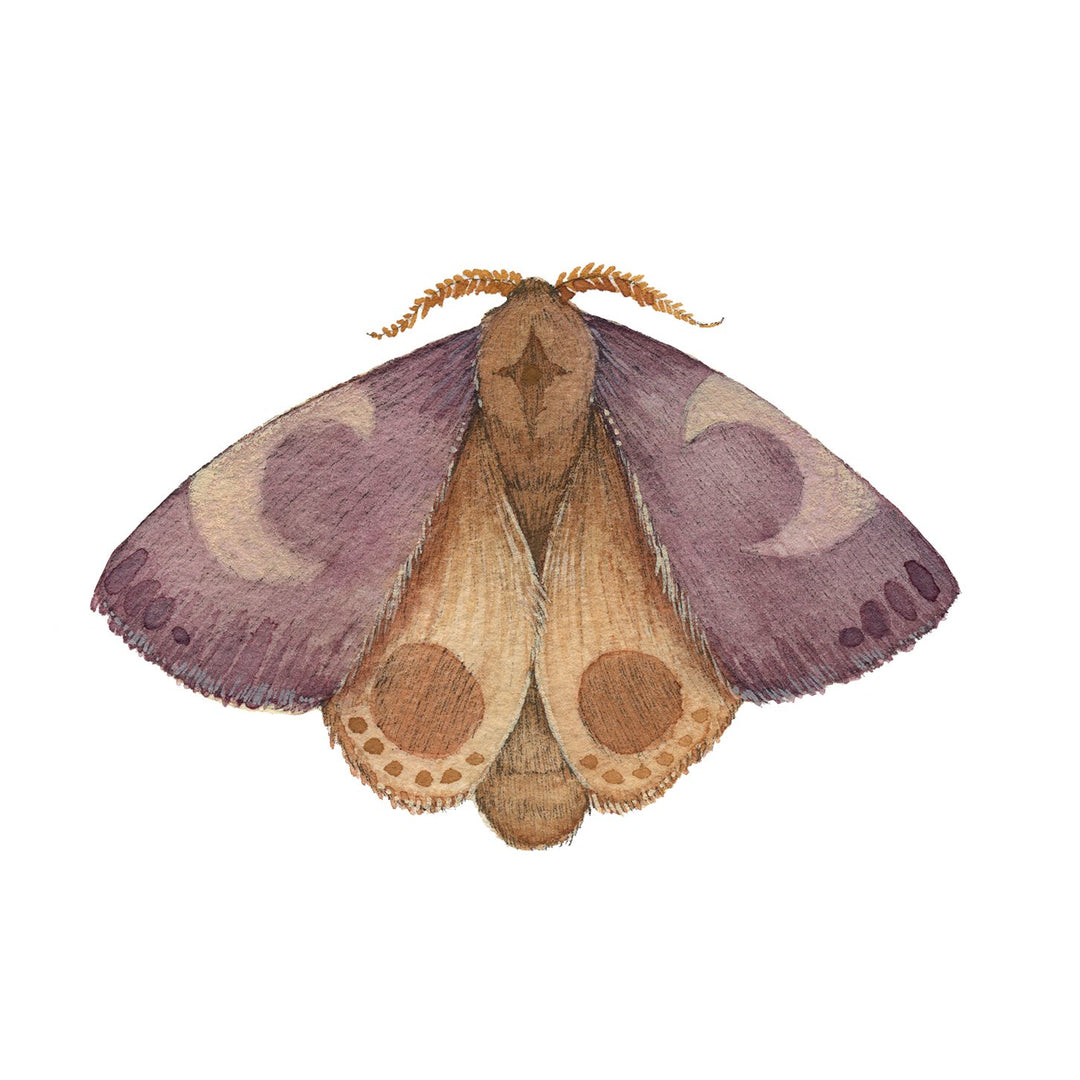 Mineral Moth: Amethyst - Art Print