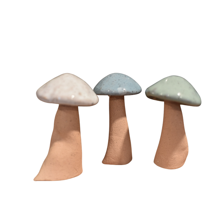Whimsy Mushrooms - 5- 7"