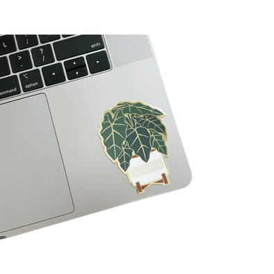 Alocasia Sticker
