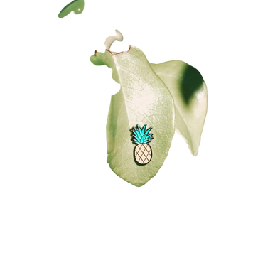 Plant Magnet Accessories- Pineapple