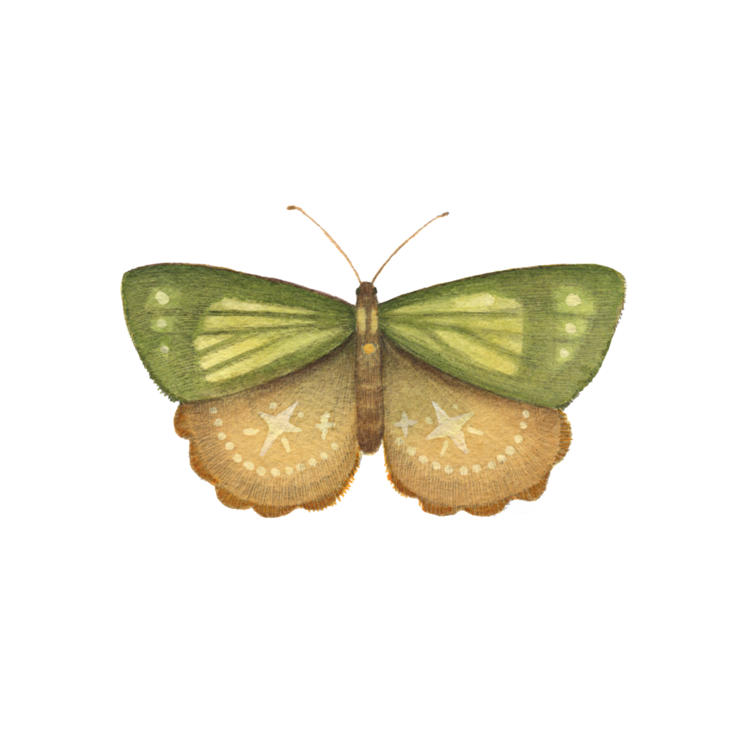 Peridot Moth Sticker