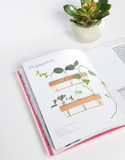 How To Raise A Plant Book
