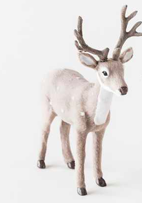 Gray Deer