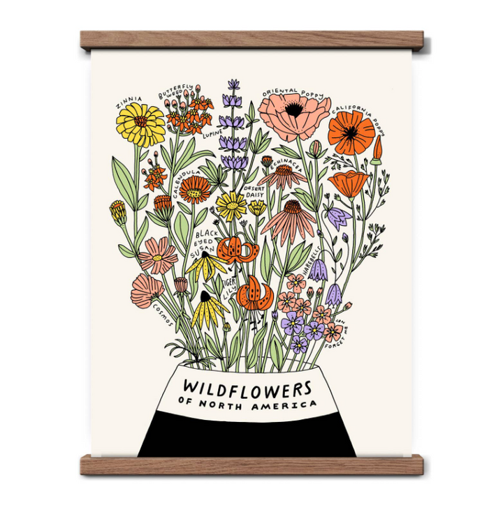 Wildflowers of North America Botanical Print