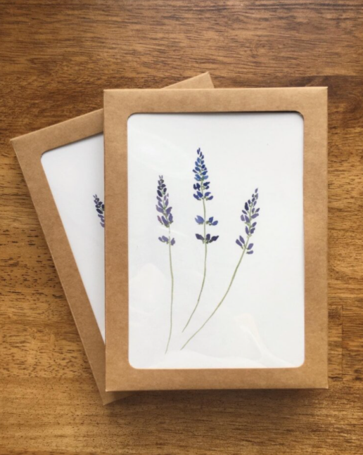 Lavender Boxed Set
