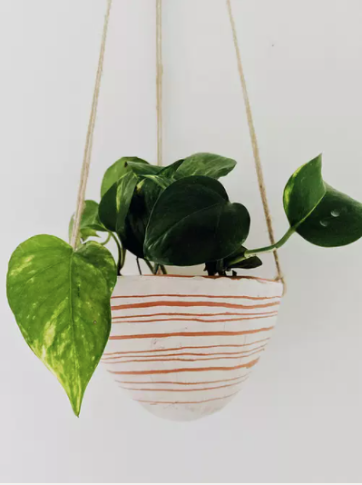 Horizon Line Variations Hanging Planter in Pink & Terracotta