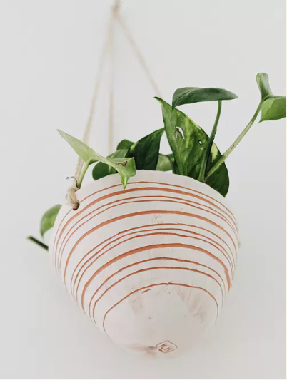 Horizon Line Variations Hanging Planter in Pink & Terracotta