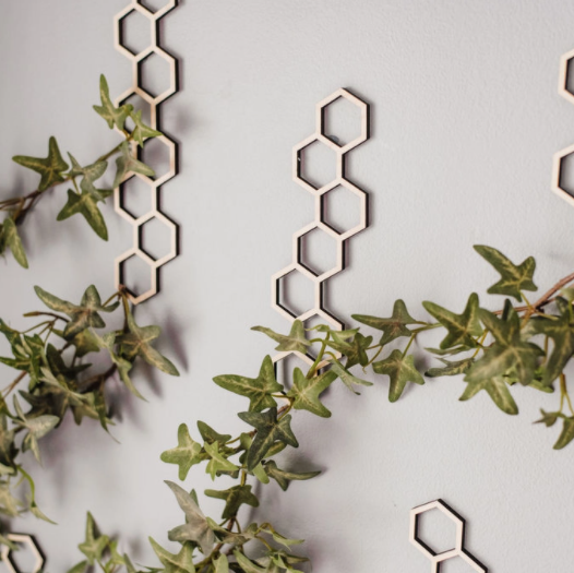 Wall Hanging Plant Trellis - Set of 3