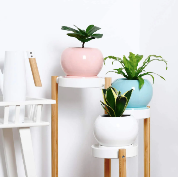 5 Inch White Round Plant Pot with Saucer
