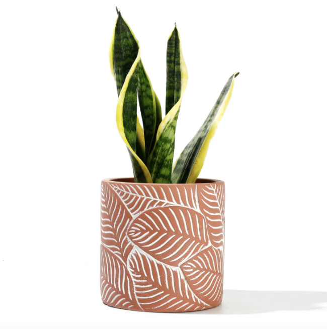 Terracotta Vintage Leaf Cement Pot
