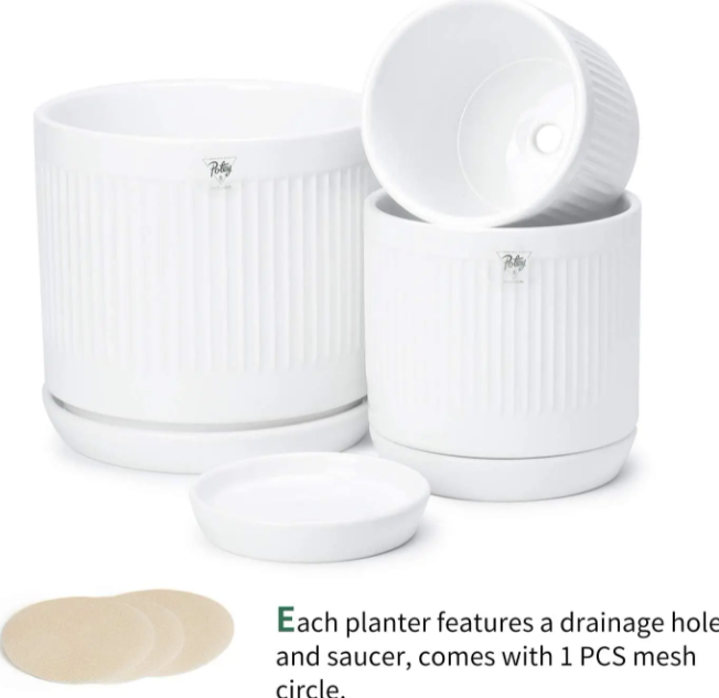 White Fluted Cylinder Ceramic Plant Pots