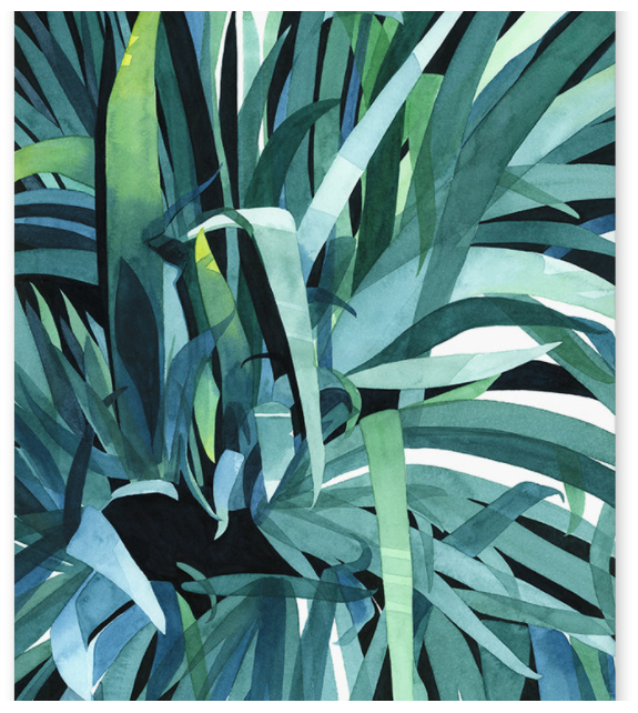 Shade Plant Art Print - 8"x10"