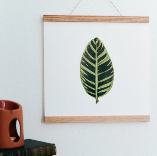 Zebra Plant Art Print
