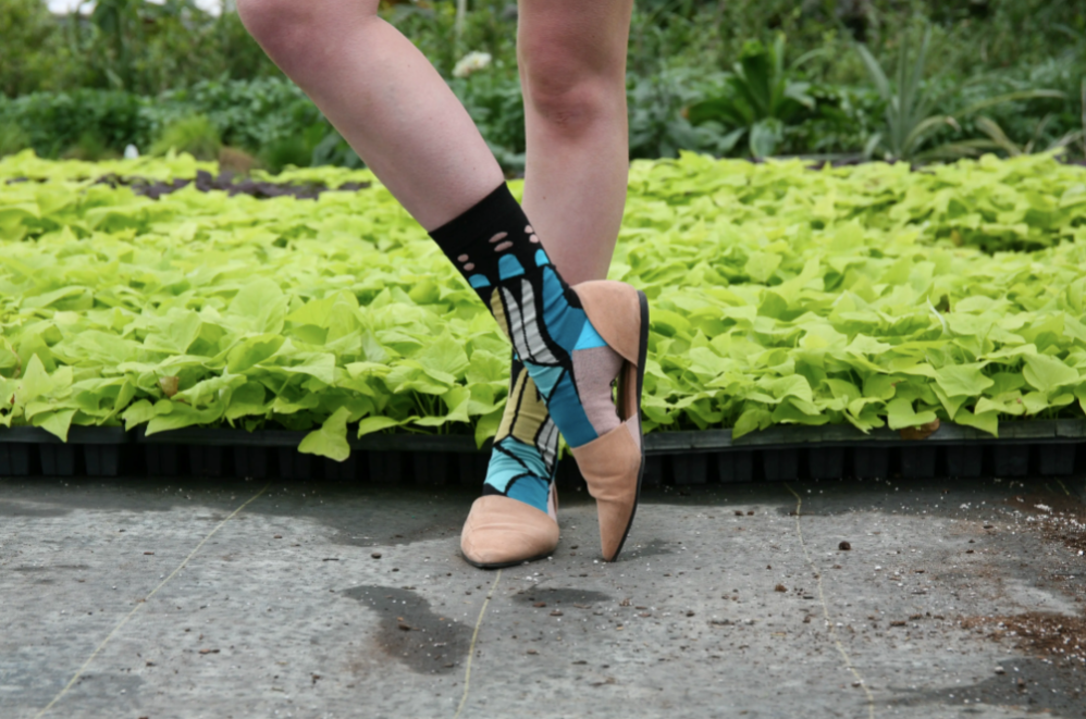 Social Butterfly Crew Socks