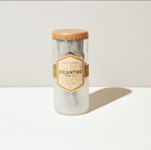 ECO PLANTER - ORGANIC CILANTRO