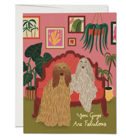 Afghan Dogs Card