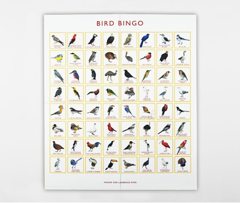 Bird Bingo