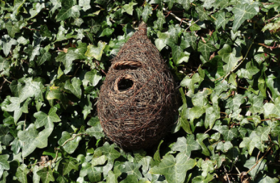Giant Roost Nest Pocket