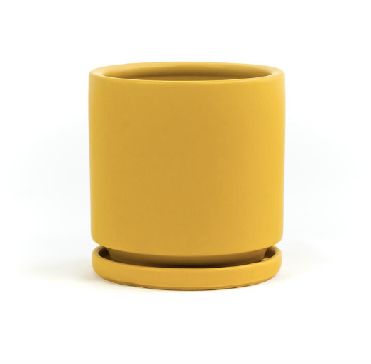 10.25" Cylinder Pot with Water Trays