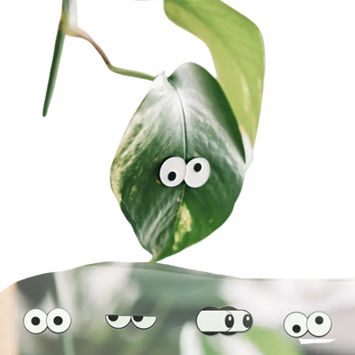 Glow Eyes 4-pack -  Plant Charms