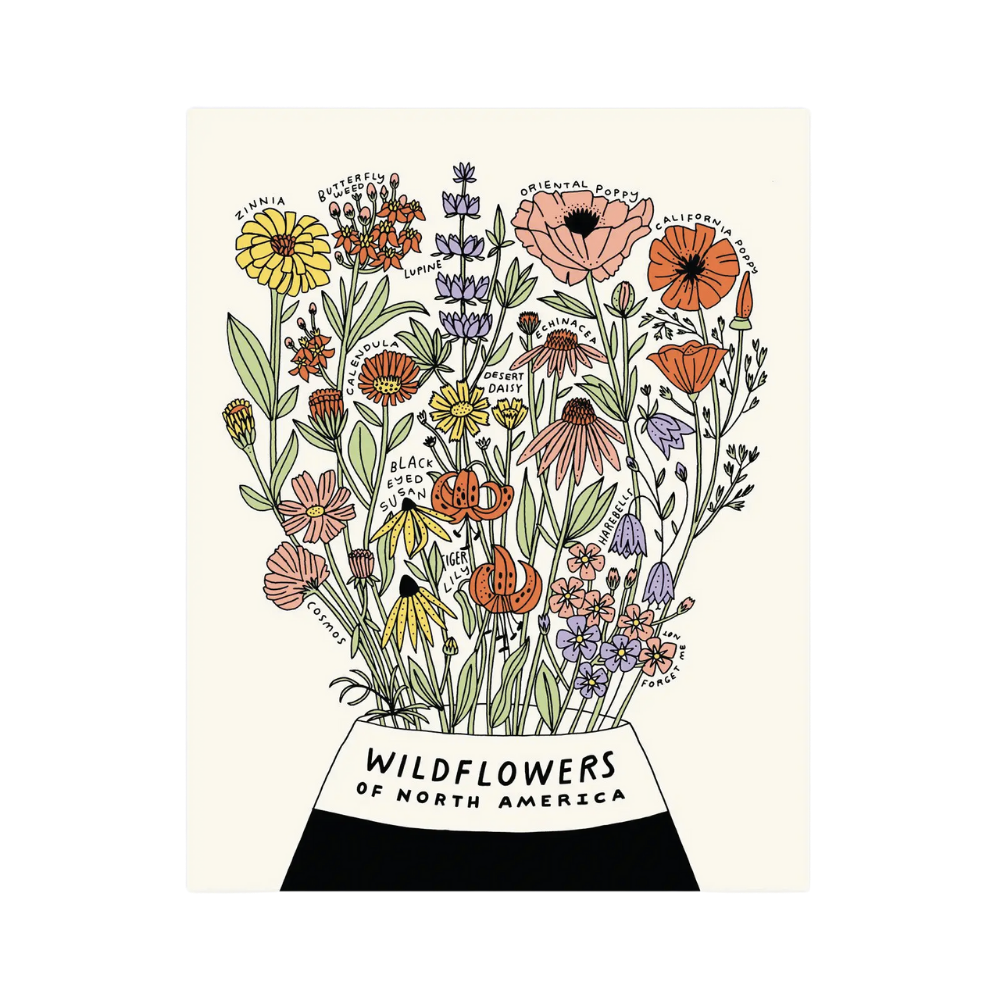 Wildflowers of North America Botanical Print