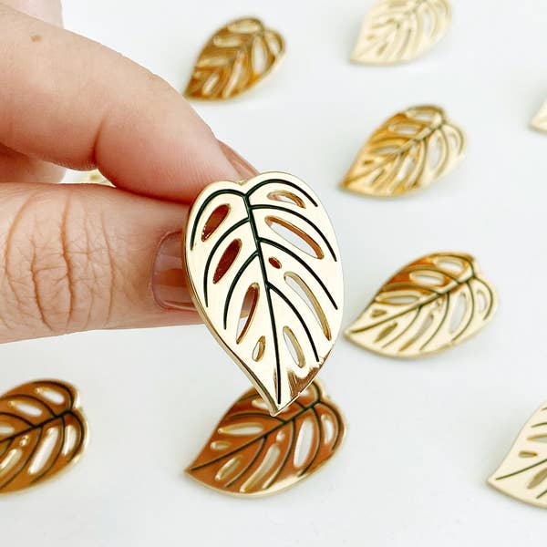 Monstera Adansonii Pin