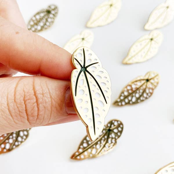 Begonia Maculata Pin