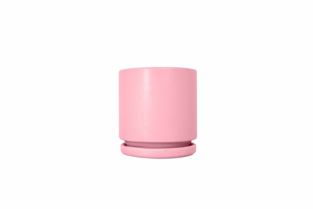 6.25" Cylinder Pots with Water Tray