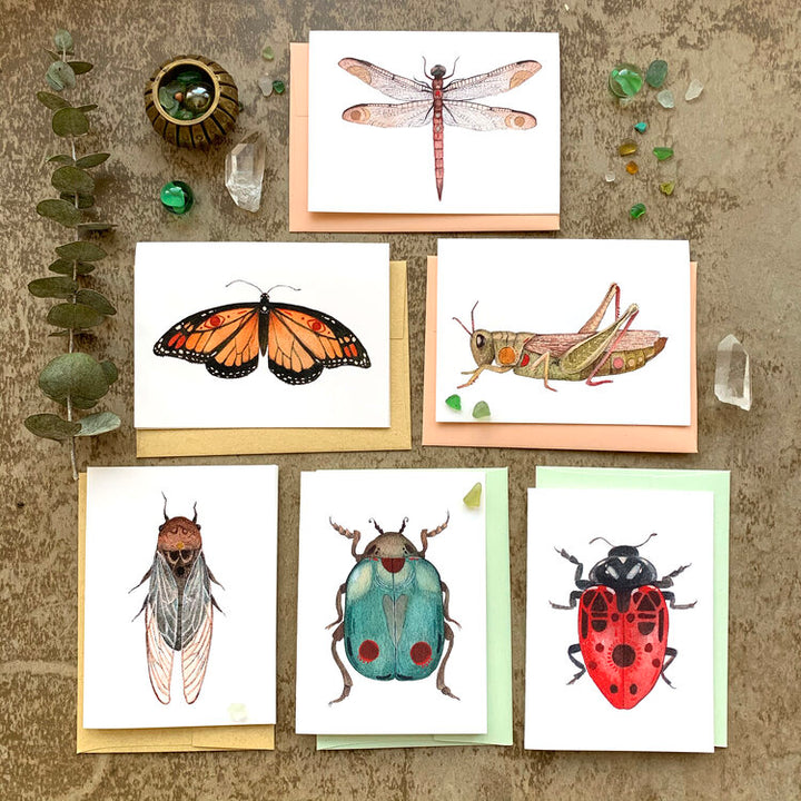 Bug Collection - Greeting Card Pack