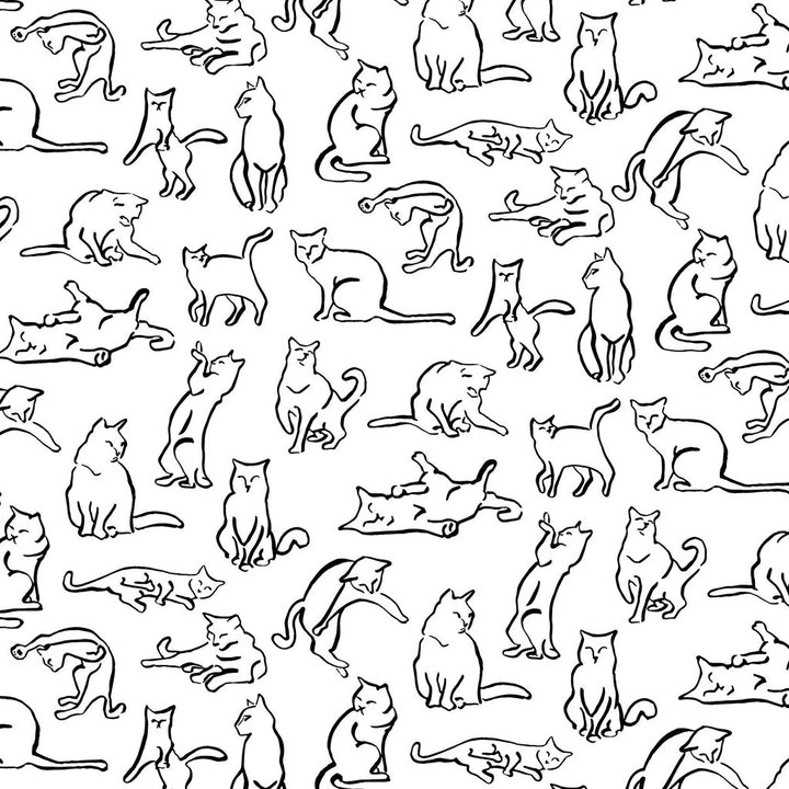 Cattern Gift Wrap