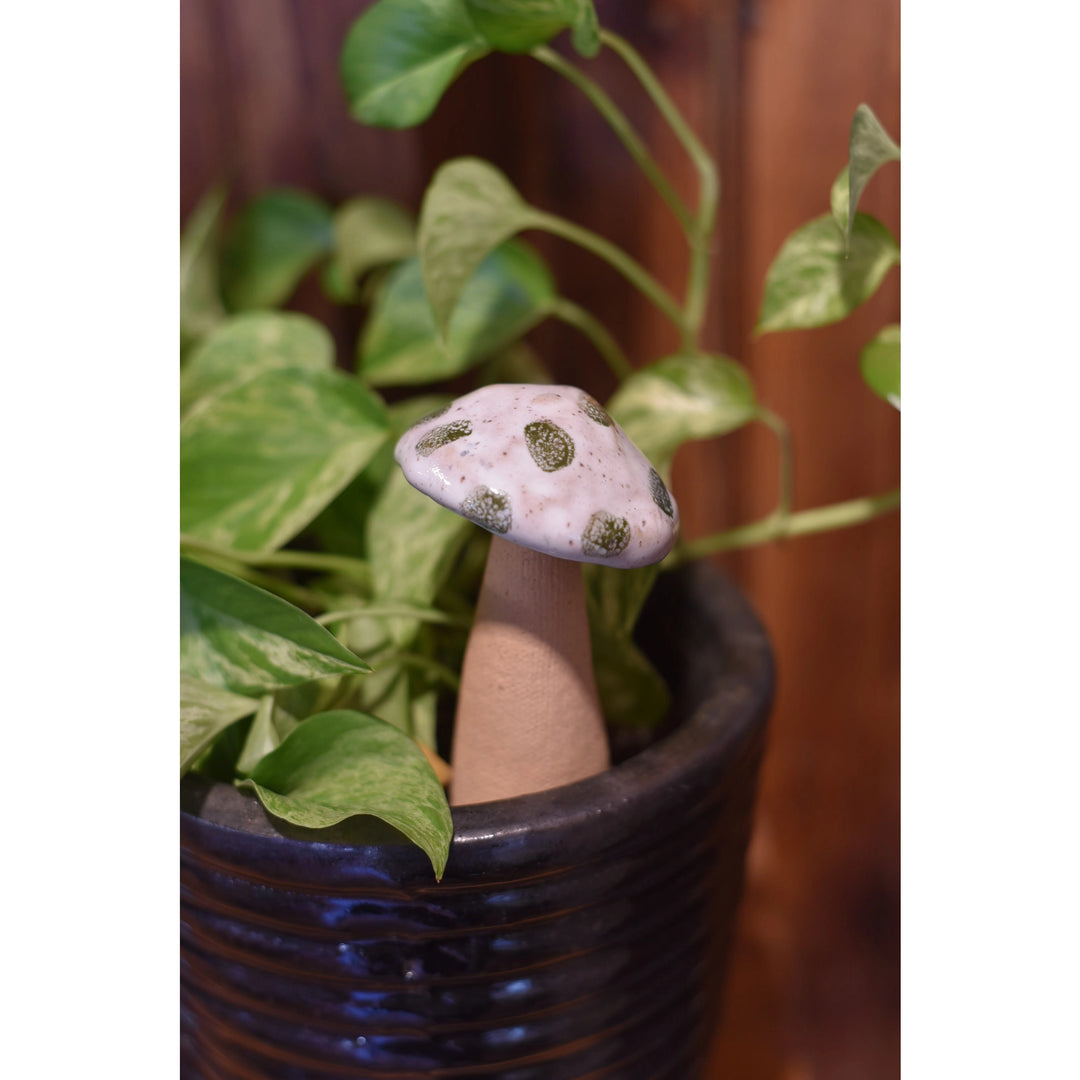 Whimsy Mushrooms - 5- 7"