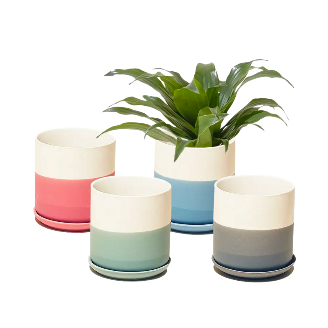Devo Pot and Saucer, 4.5"