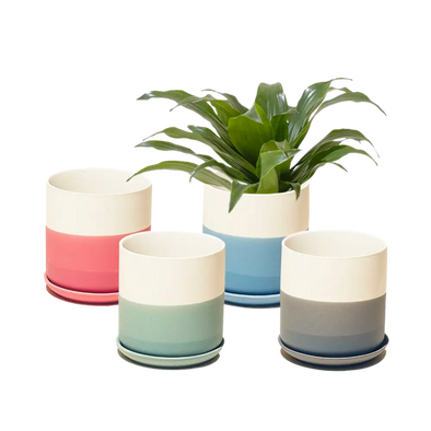 Devo Pot and Saucer, 4.5"