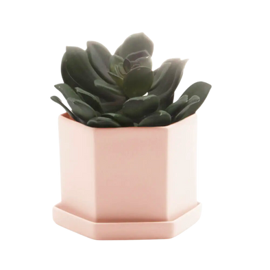 Hexi Pot and Saucer - 4"