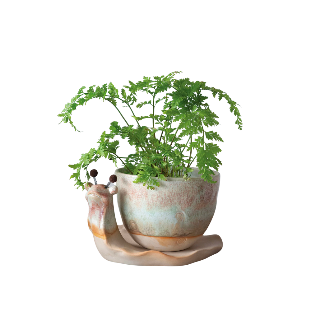 Stoneware Snail Planter