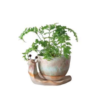 Stoneware Snail Planter