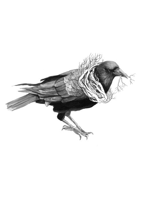 Gathering: Crow - Art Print
