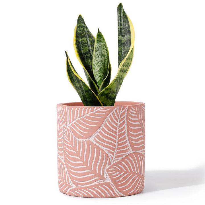 Pink Vintage Leaf Cement Pot