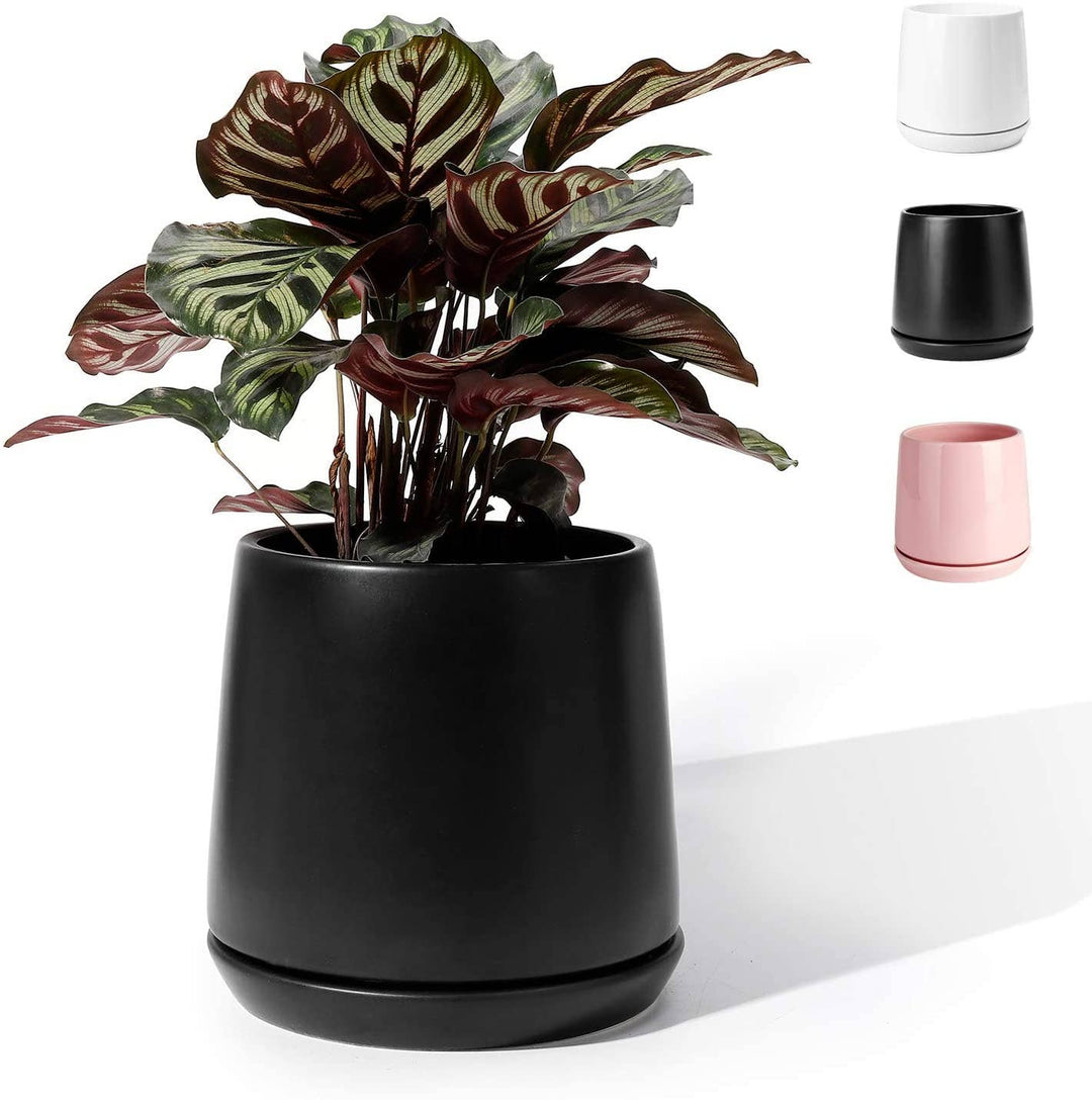 5.7 Inch Ceramic Glazed Plant Pot