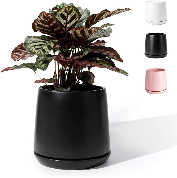 5.7 Inch Ceramic Glazed Plant Pot