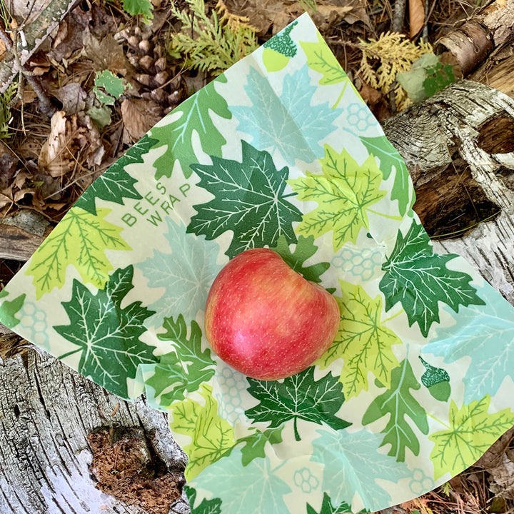 Lunch Pack In Forest Floor Print Bee's Wrap
