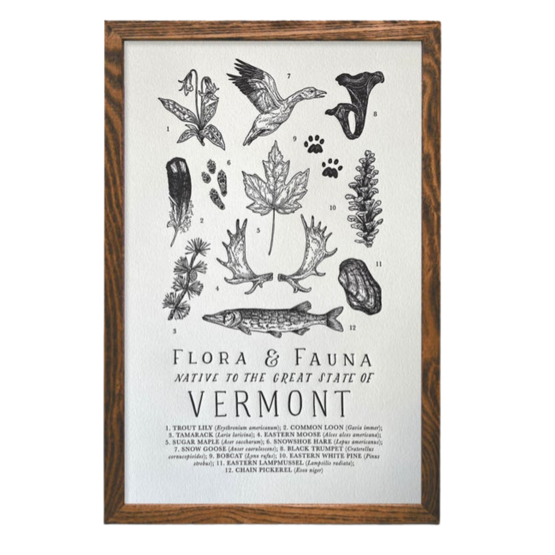 Vermont Field Guide Print