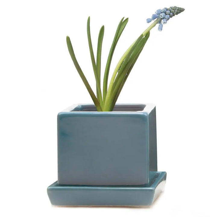 Cube and Saucer, 2.5"