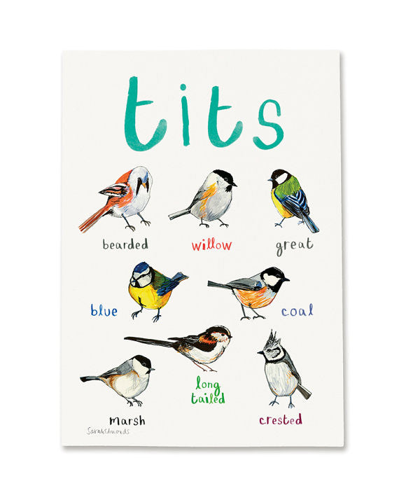 Tits A3 Art Print