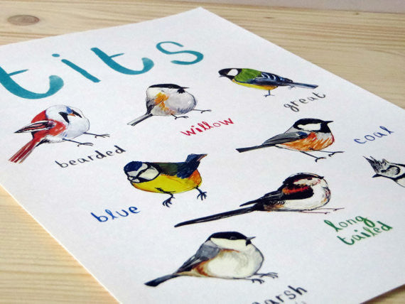 Tits A3 Art Print