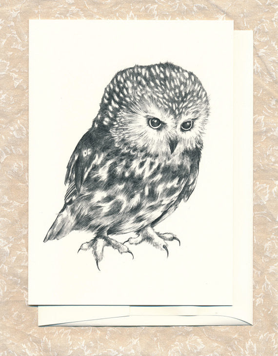 Greeting Card: Saw Whet Owl